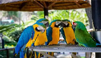 Squish - Video-As-Prompt generated video